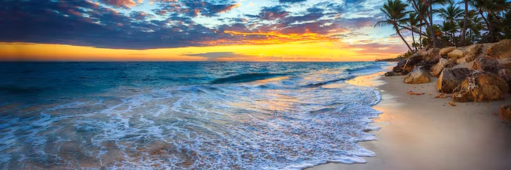 pas-humains-plage-plein-air-paysage-arbres-nuages-ciel-ocean-sable-palmier-coucher-soleil-horizon-rocheux-rivage-eau_943872-887